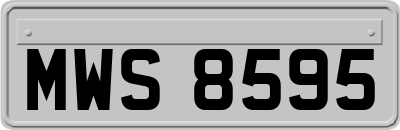 MWS8595