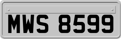 MWS8599