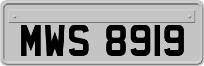 MWS8919
