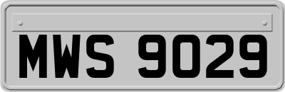 MWS9029