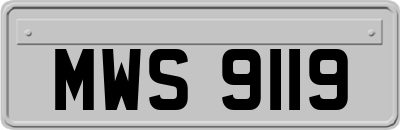 MWS9119