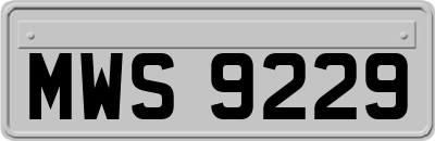 MWS9229