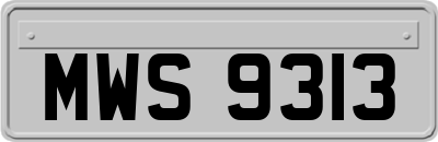 MWS9313