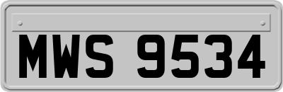 MWS9534