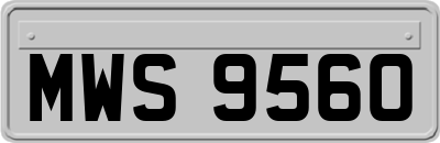 MWS9560