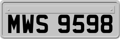 MWS9598