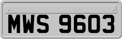MWS9603