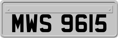 MWS9615