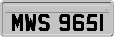 MWS9651