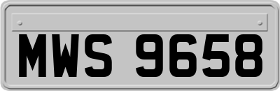 MWS9658