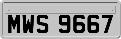MWS9667
