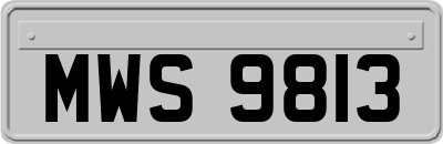 MWS9813