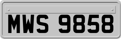 MWS9858