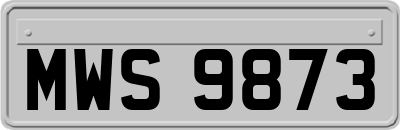 MWS9873