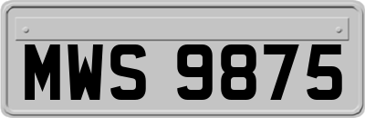 MWS9875