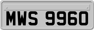 MWS9960