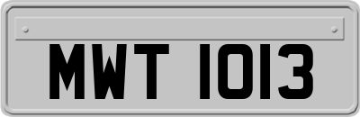 MWT1013