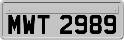 MWT2989