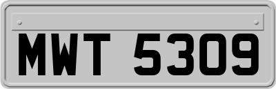 MWT5309