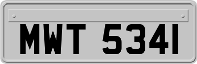 MWT5341