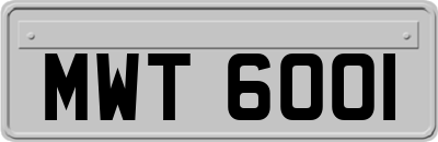 MWT6001