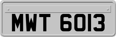 MWT6013