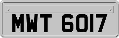 MWT6017