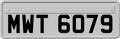 MWT6079