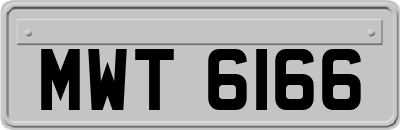MWT6166