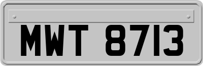 MWT8713