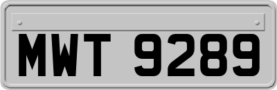 MWT9289
