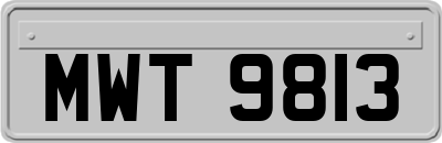 MWT9813