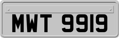 MWT9919