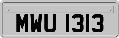 MWU1313