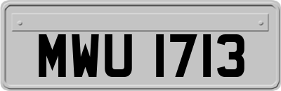 MWU1713