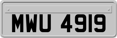 MWU4919