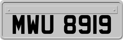 MWU8919