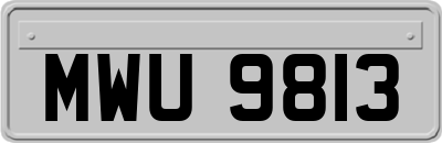 MWU9813