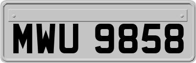 MWU9858