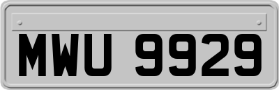 MWU9929