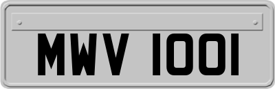 MWV1001