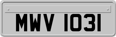 MWV1031