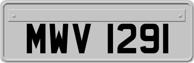 MWV1291