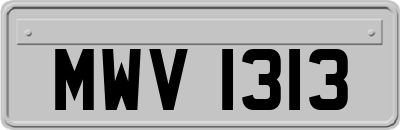 MWV1313