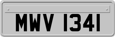 MWV1341