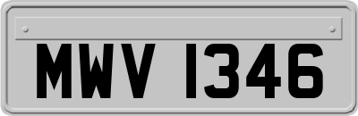 MWV1346