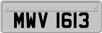 MWV1613