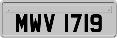 MWV1719