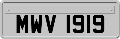 MWV1919