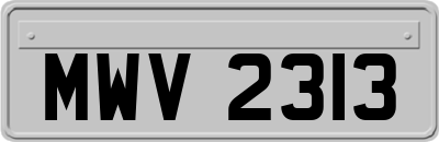 MWV2313